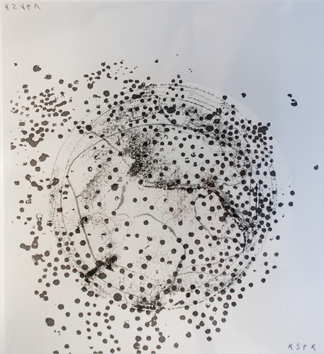 Motifs 12